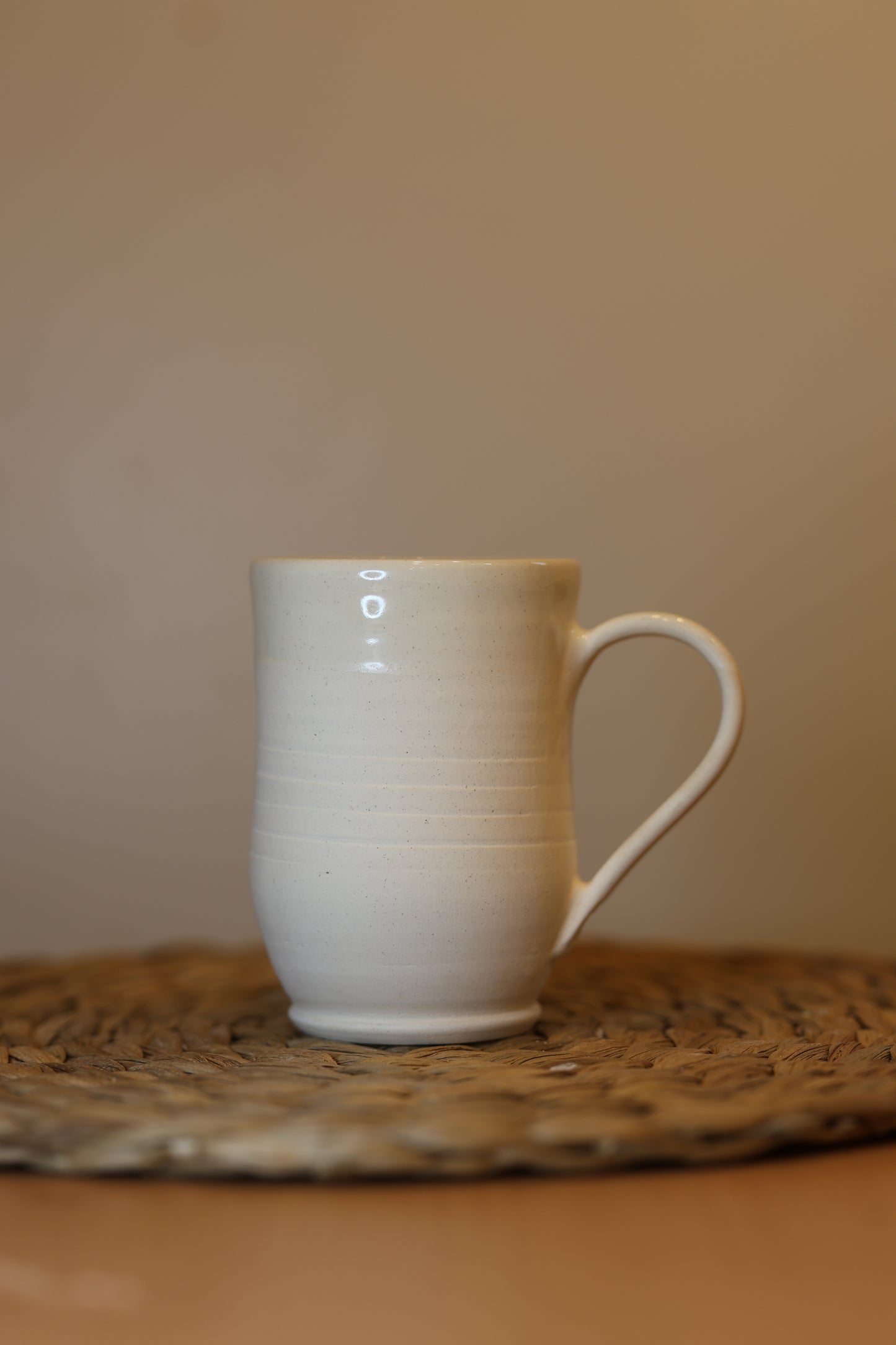 Matte Pride Flag Mug